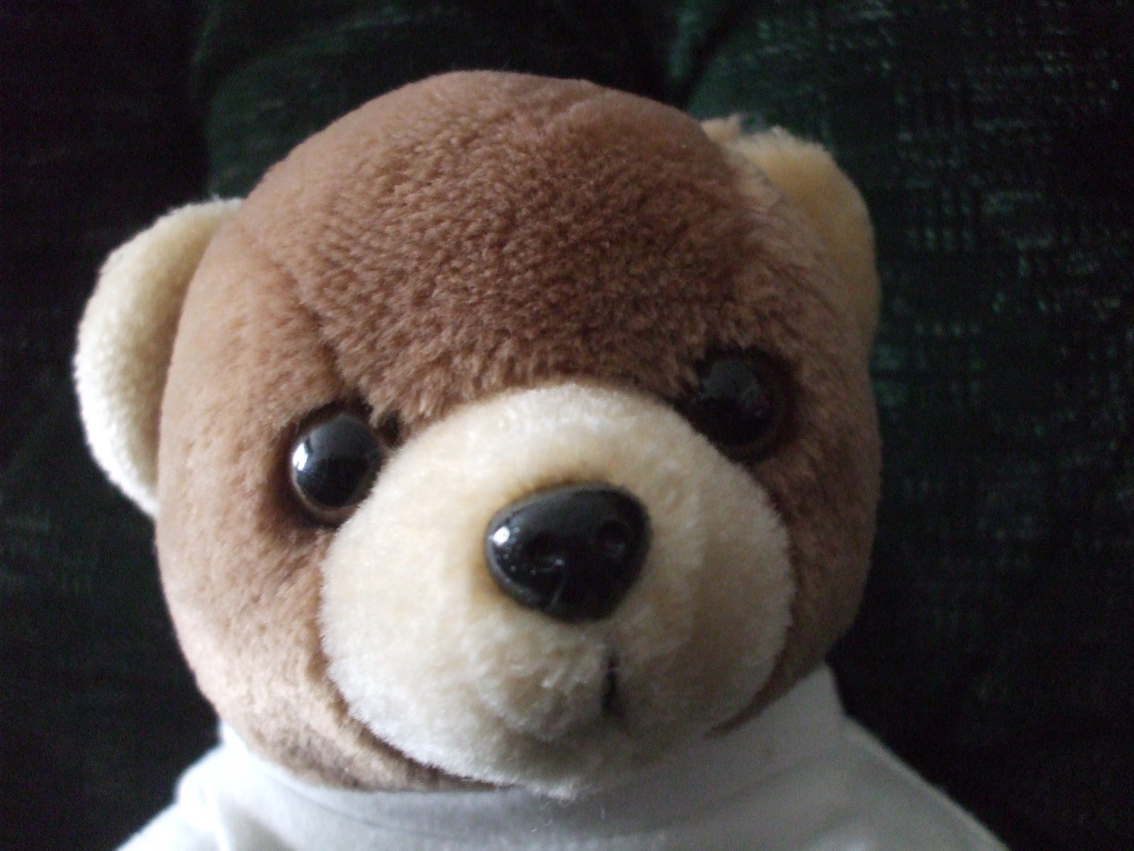 Teddy Bear Hard Rock Cafe Stuffed Plush in T Shirt Save the Planet Orlando 10