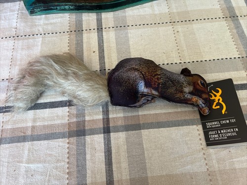 Browning Squeaker Squirrel Dog Chew Toy Dog Pet Gray Tail Hu