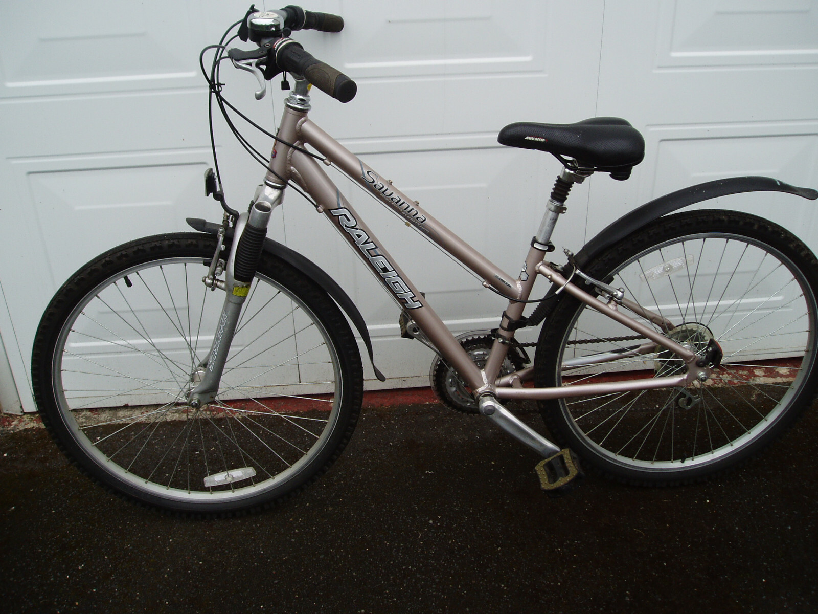 mountain ladies bike