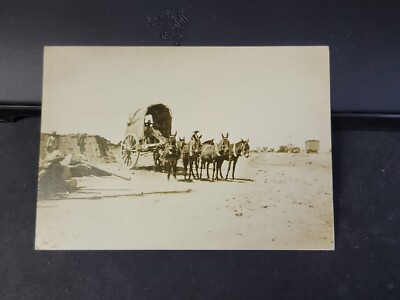 MULE TEAM C.1900 CHIHUAHUA, MEXICO 1986 POSTCARD B.G.RANDALL photo 