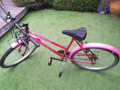 townsend pandora bike