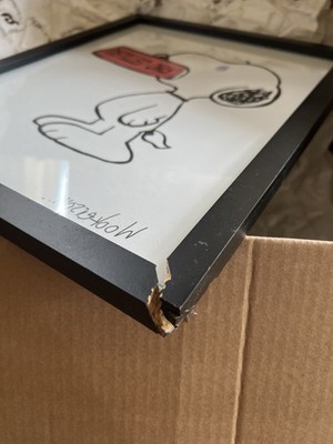 Foto dell'oggetto di un acquirente verificato