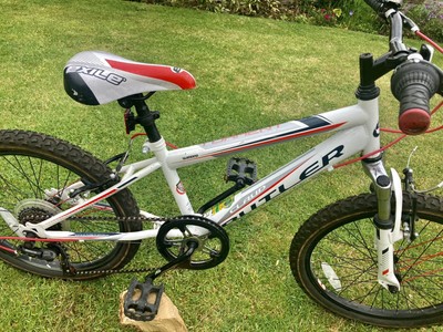 boys mountain bike 20 inch wheels