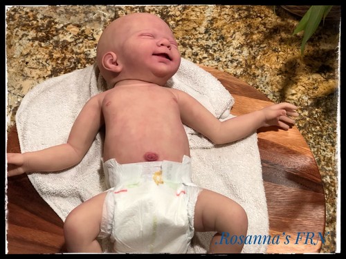 OOAK Full Body Mishka Silicone Reborn Baby Sculpt By Elena Westbrook
