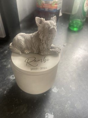 Fotos del artículo de un comprador verificado