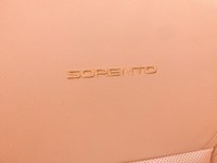 Kia Sorento III UM 15-20 Sitzbezug Rückenpolster Rechts Vorne für Beifahrer Sitz SRS Leder Kia Sorento III UM 15-20... Vorschau 4