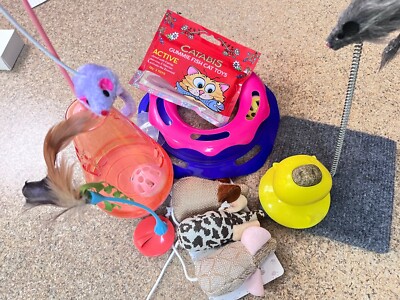 Great Misc Kitten/Cat Toy / Play Bundle - 11 Toys Total