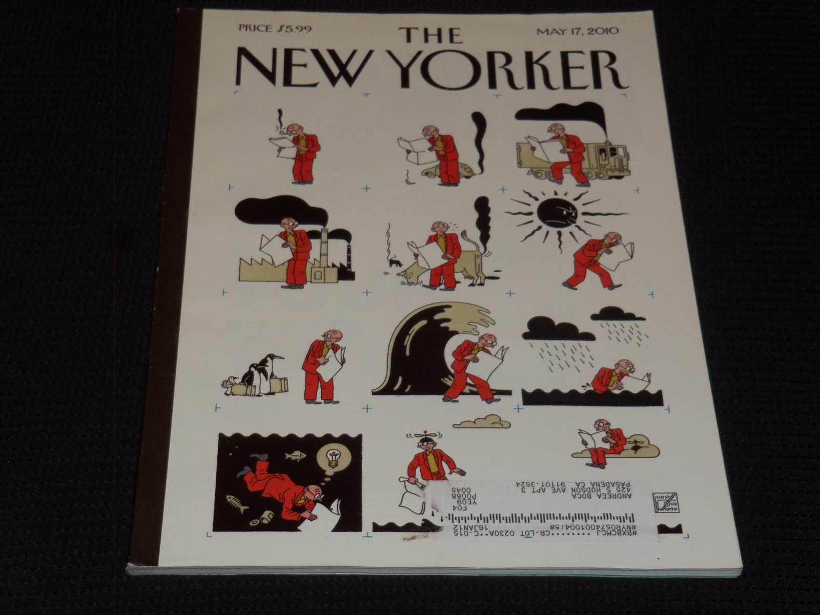 2010 MAY 17 NEW YORKER MAGAZINE - BEAUTIFUL FRONT COVER - L 22169