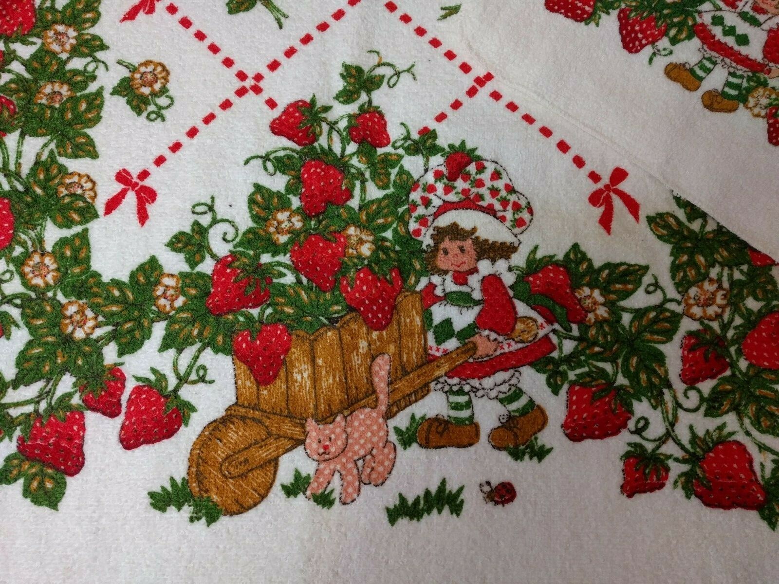 VTG~Strawberry Shortcake~Bath Towel~Wash Cloth~American Greetings~1980~Cannon