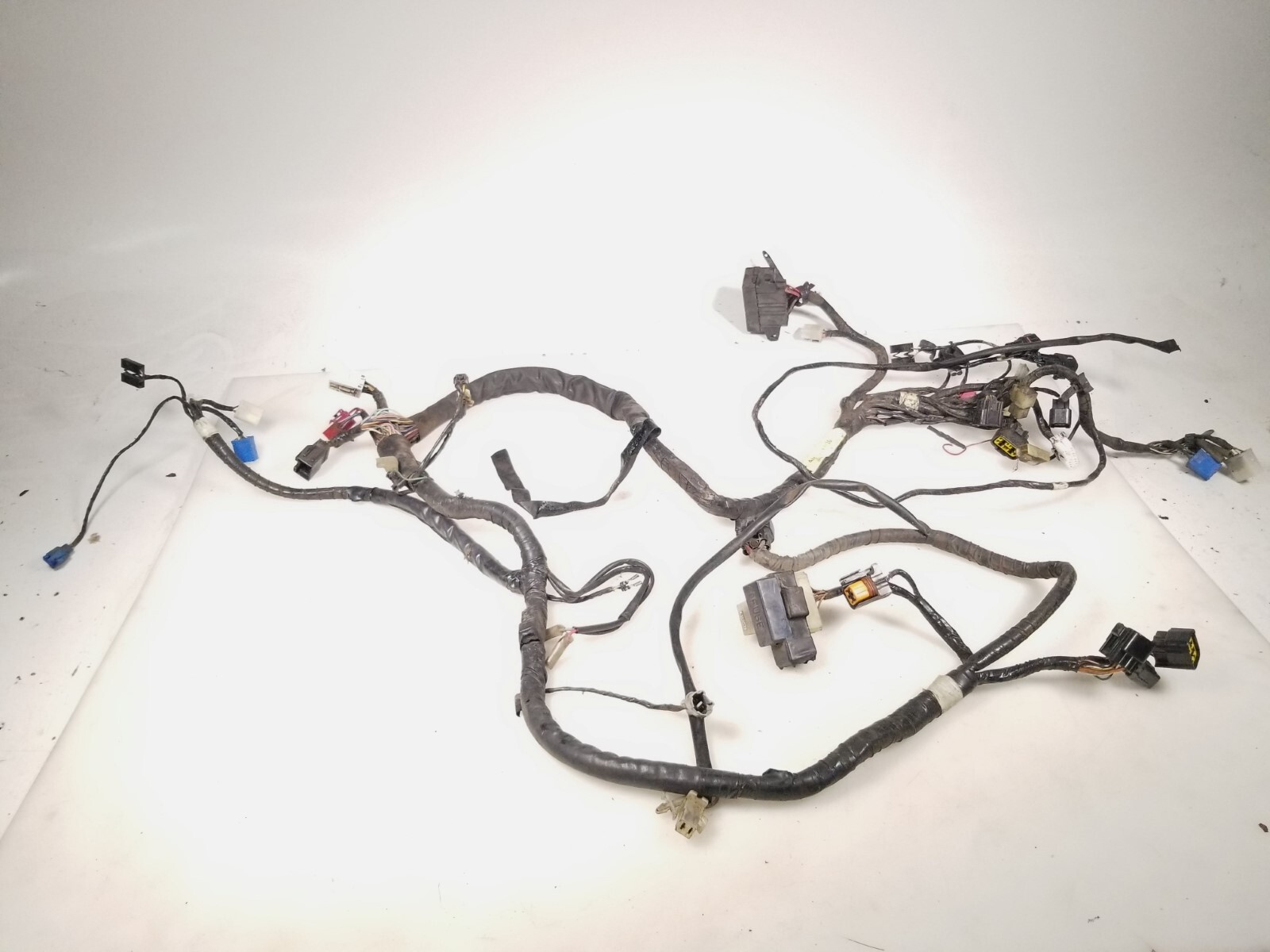 Wx様 CRAFTSMAN 9-Gallon 4.25 Peak HP Corded Electric Wet/Dry Shop