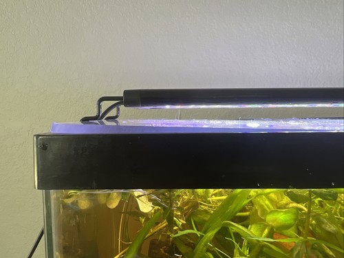 Fotos del artículo de un comprador verificado