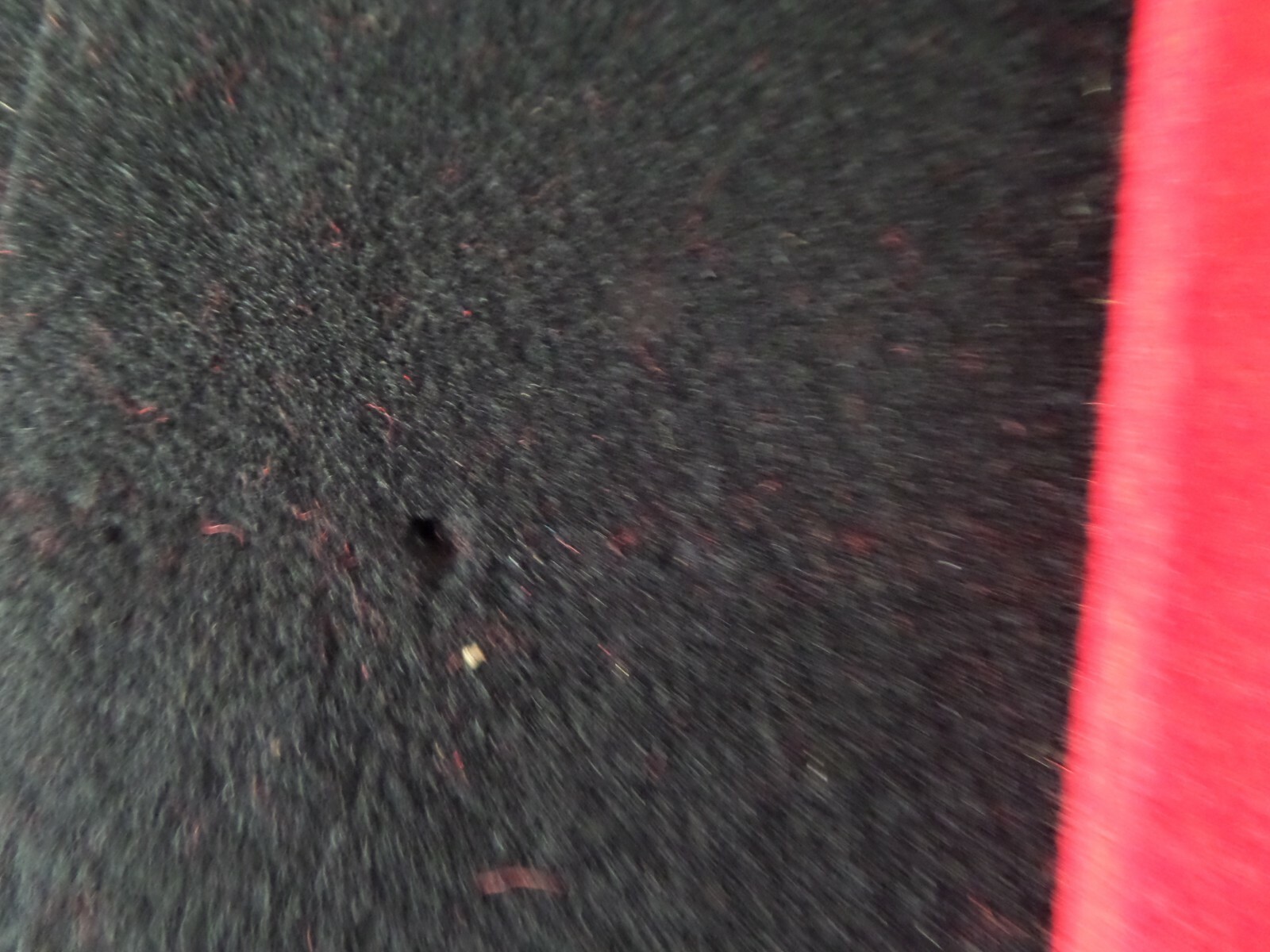 1970 International Doll Rosita 16 1/2