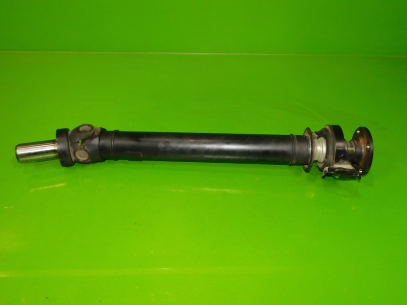 Picture 3
