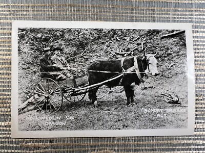 RPPC No. Lincoln County Oregon Sunday Driver Ox Drawn Wagon Real Photo Postcard