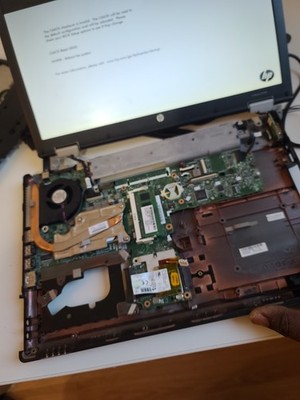 Fotos del artículo de un comprador verificado