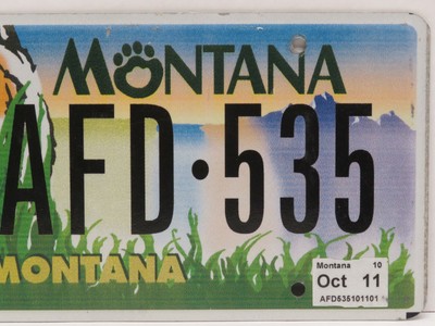 Single Zoo Montana License Plate AFD-535 Specialty Plate, Oct. 2011 Tag Tiger