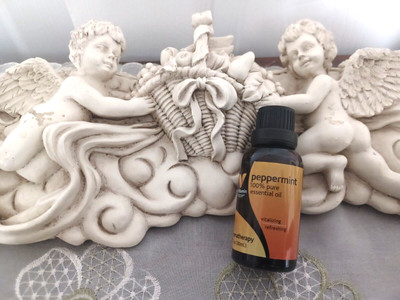 THE VITAMIN SHOP 100% PURE ESSENTIAL PEPPERMINT OIL - 1 FL. OZ. - BRAND NEW
