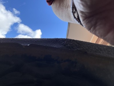 Fotos del artículo de un comprador verificado