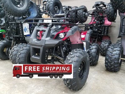 ATV t force 125 Youth ATV TAOTAO Utility Quad Kids 4 wheeler FREE SHIP 125 BIG !