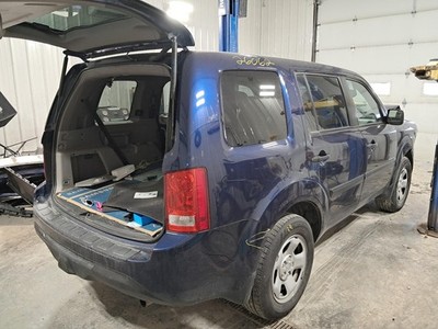 Picture 3