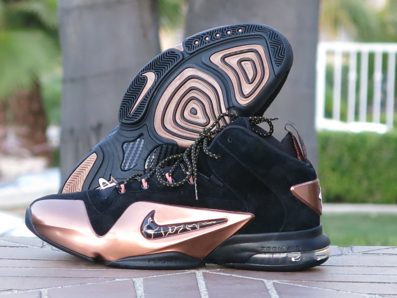 zoom penny vi
