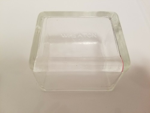 Lot of 6 Laboratory Glass 10-Slide Staining Dish with Cover & Rack w/o Handle