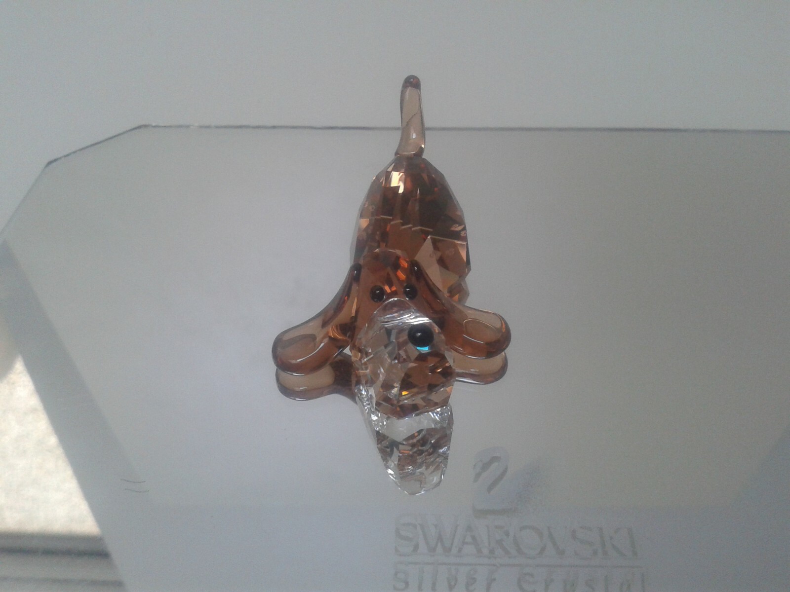 【スワロフスキー】The Gang of Dogs - Pepino スワロフスキー】The Gang of Dogs - Pepino SWAROVSKI LOVLOTS