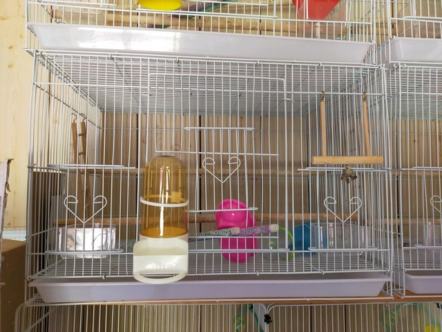 bird cage dishes