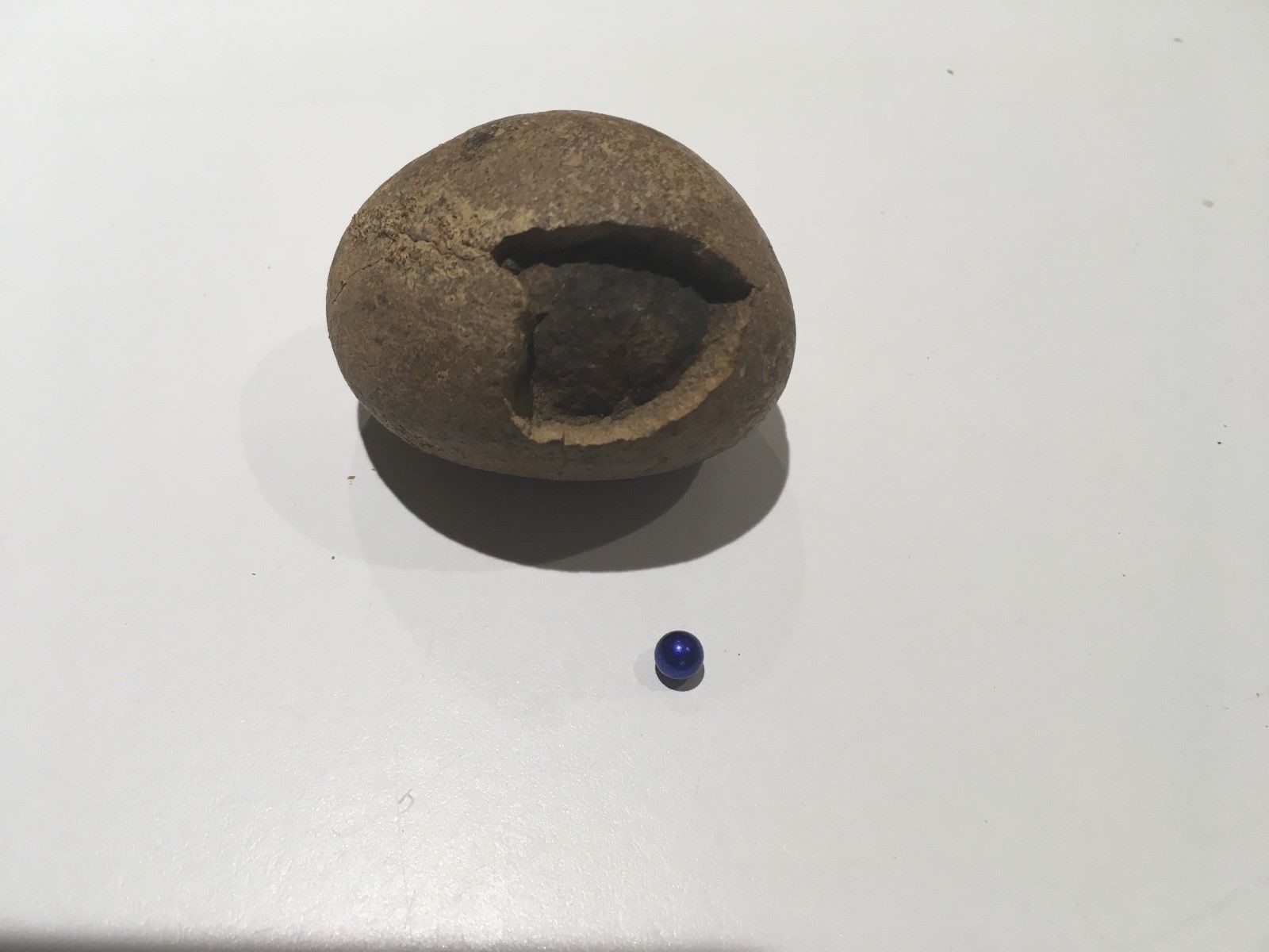 Strange Unique Rock a Ball Magnet Sticks to it - A Fossil Egg or Meteor ?