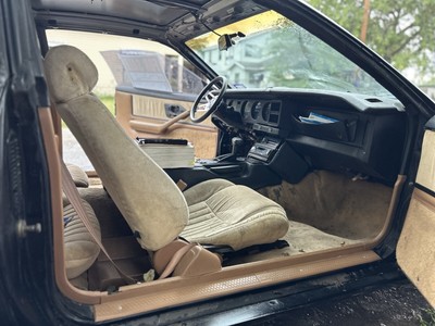 image 3 of interior