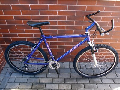 ＢＬＵＥ　ＧＩＡＮＴ Giant XtC JR 20 C/B - Asheville Bicycle Company