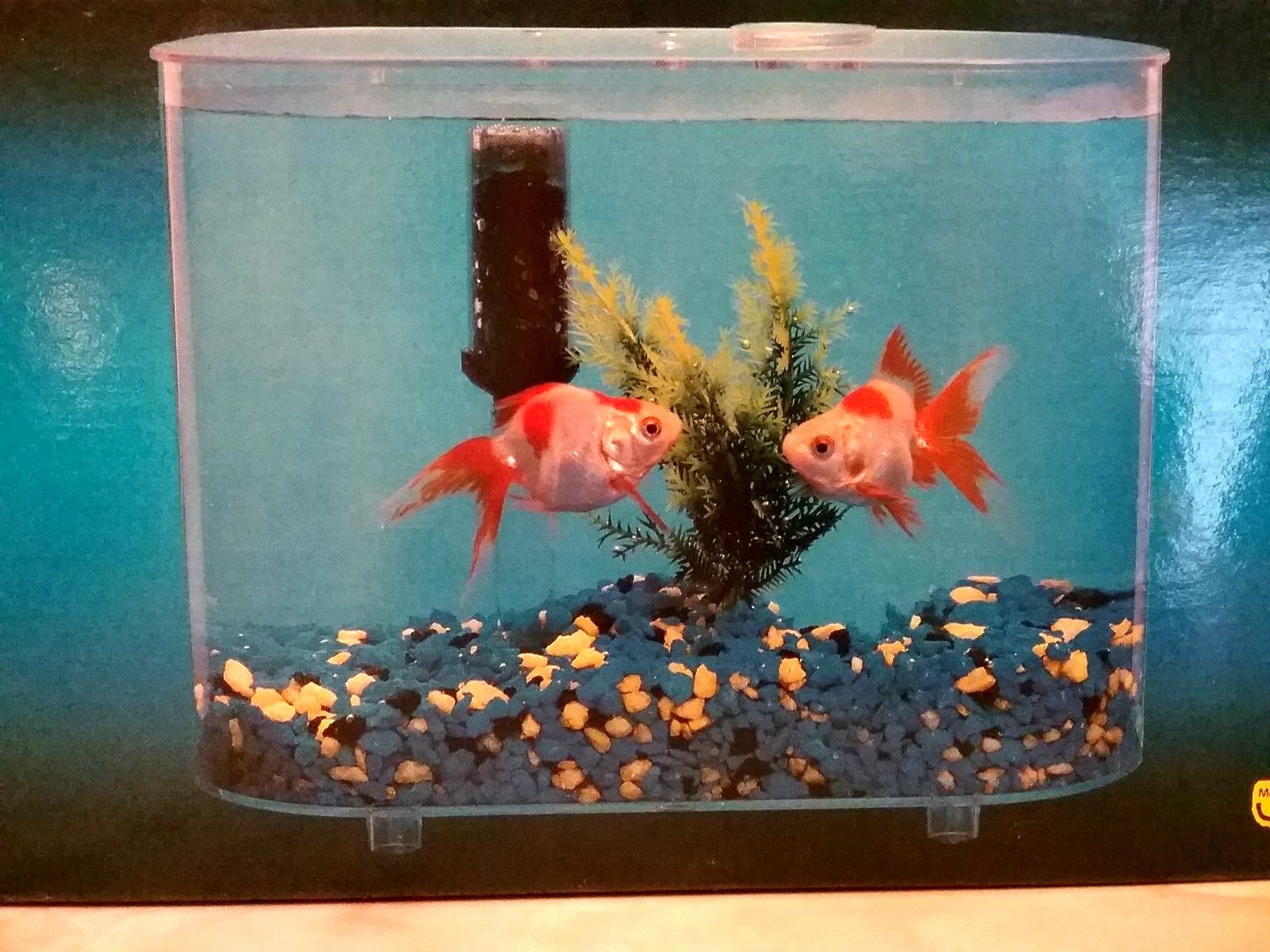 Oval Transparent  Mini Fish Tank DecoAquarium