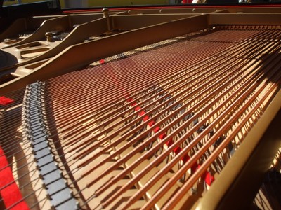 Boston Steinway  grand piano & Yamaha bench free pianodisc  self player !