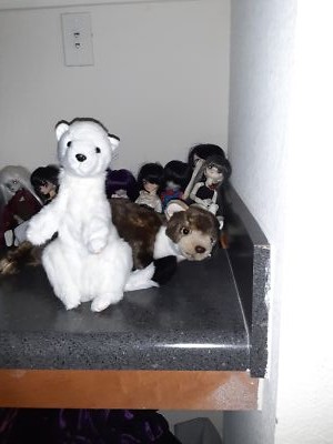 Foto dell'oggetto di un acquirente verificato