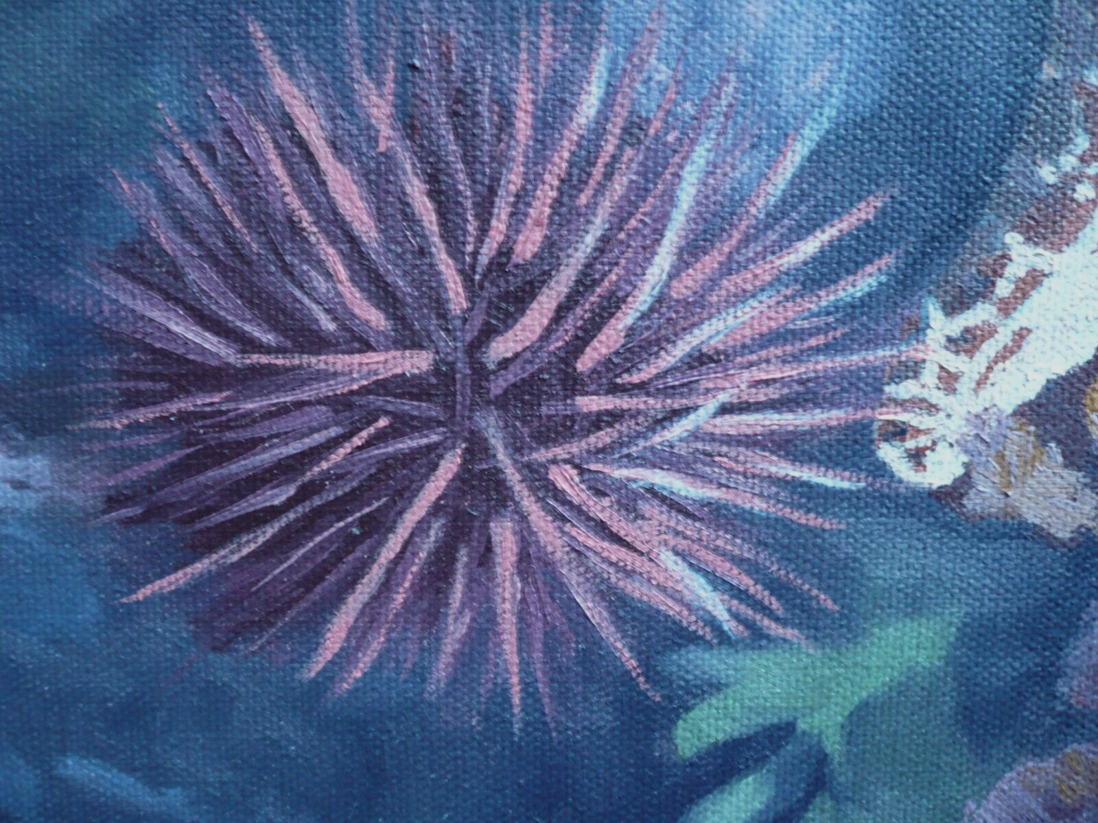 FRANKIE BARNETT, OCEAN INTERIOR REALISM TIDEPOOL STARFISH OCEAN SHELLS ROCKS OIL