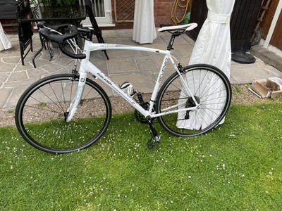 Raleigh Revenio C2 Road Bike (Carbon Fork, 60cm Size 8 Frame)