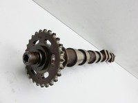 Land Range Rover III L322 02-06 4,4 210KW M62 B44 Nockenwelle Rechts Auslass Land Range Rover III L322 02-06... Vorschau 2