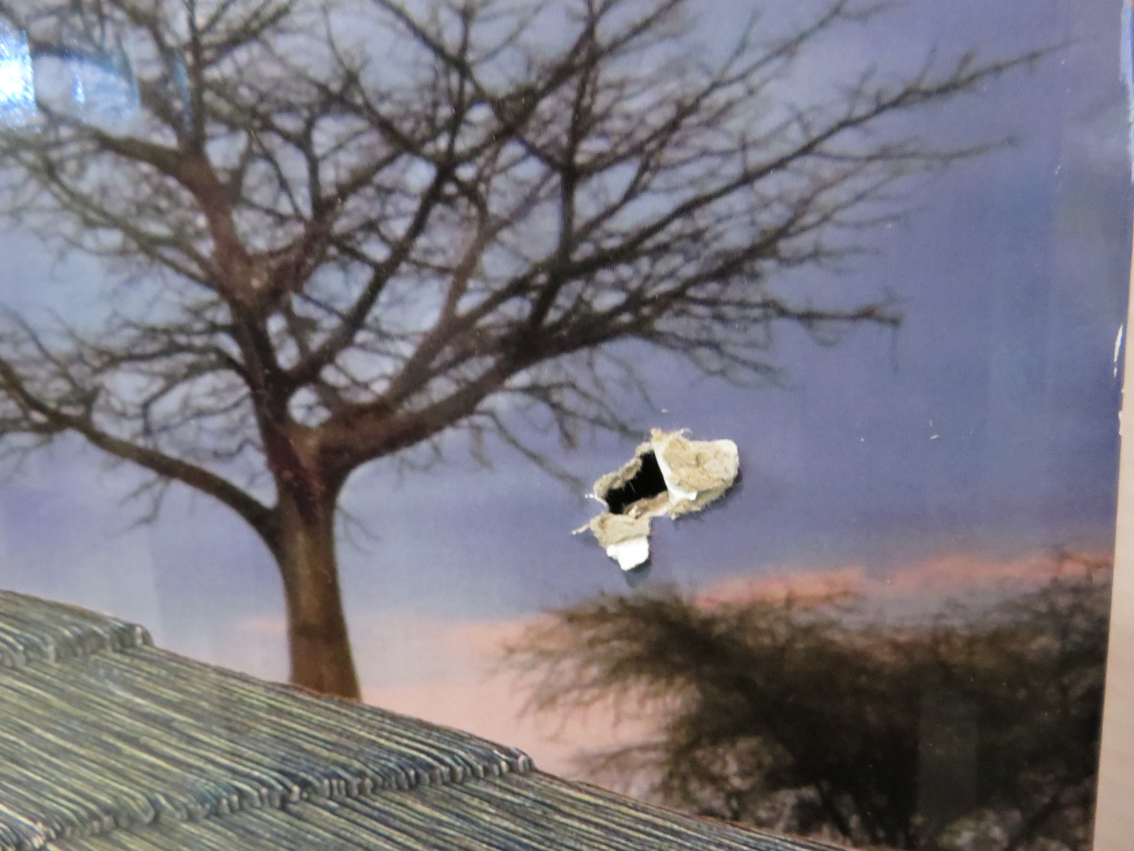 SCHLEICH ANIMAL NURSERY #42003 *NEW* IN FACTORY PLASTIC World of Nature AFRICA