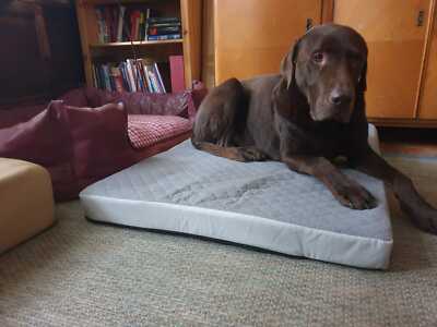 Artikelfoto(s) von einem verifizierten Käufer