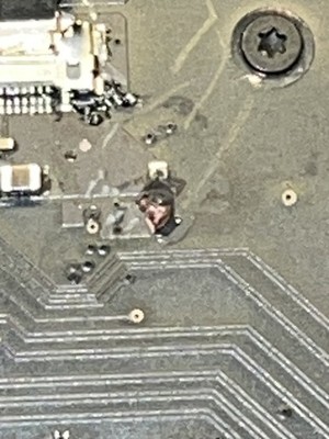 Photos de l'objet d'un acheteur vérifié