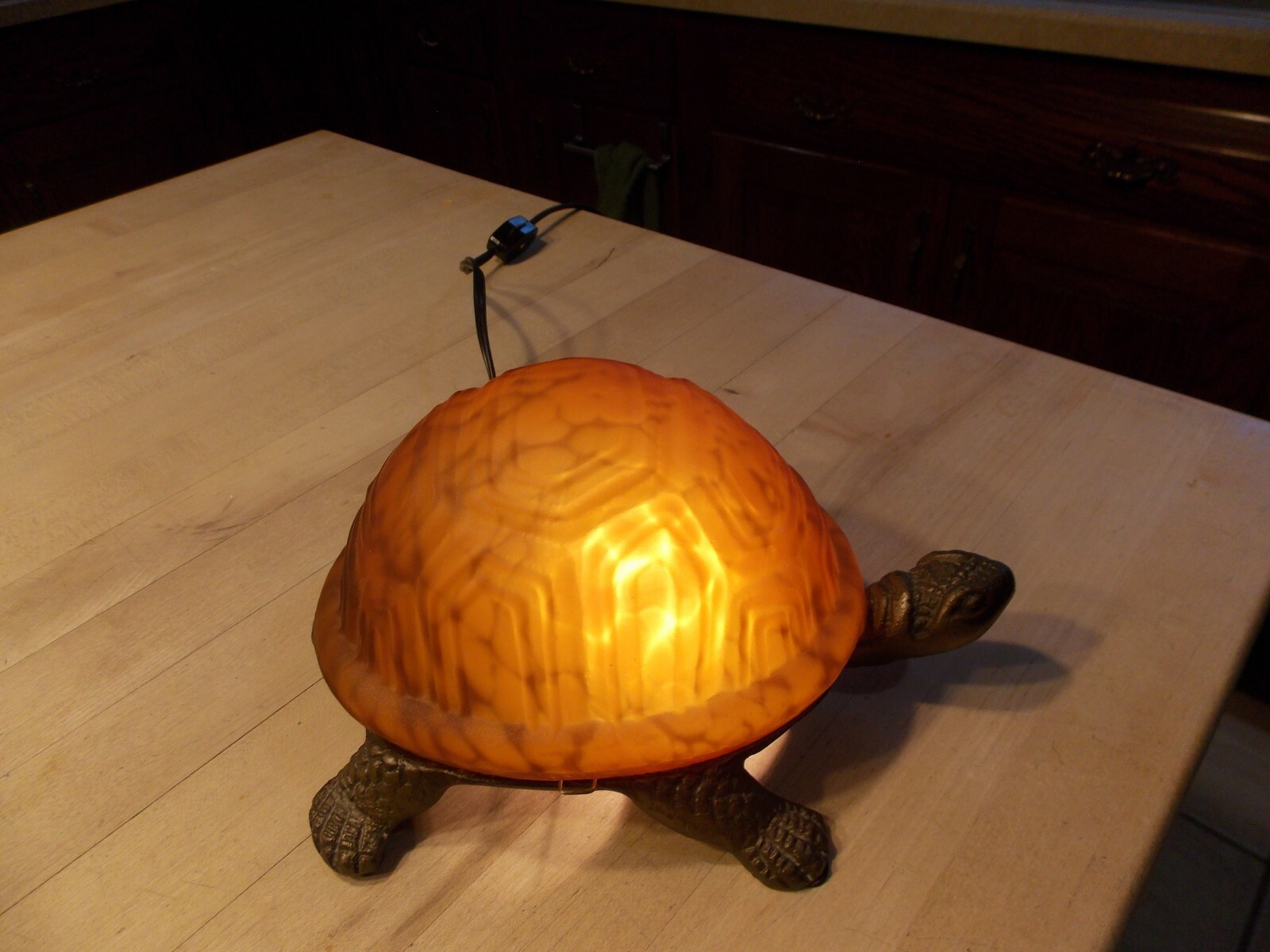 Brass Turtle Light 5x9x4-1/2 Inch Tall