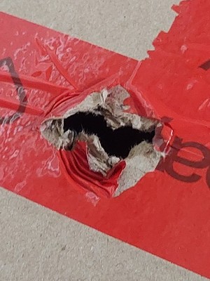 Item photo(s) from verified buyer