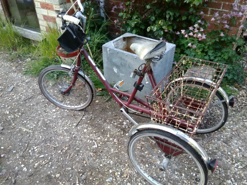 Tricycle For Sale - Page 3