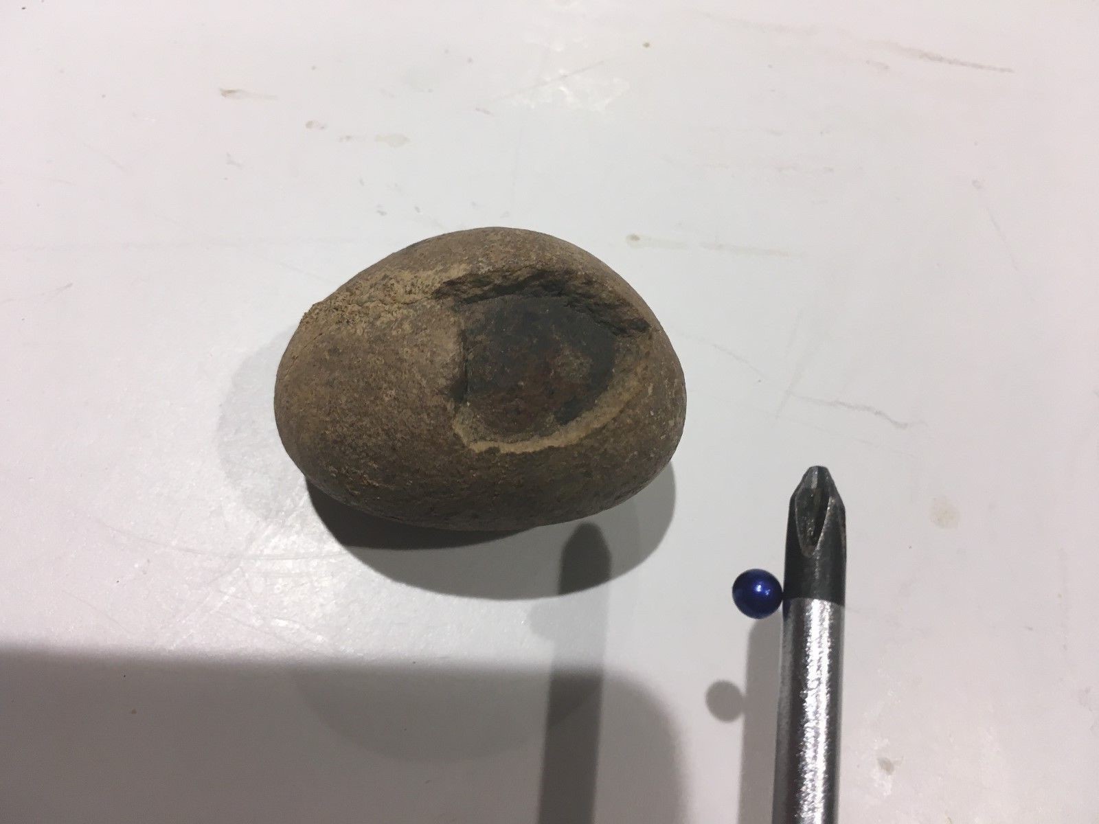 Strange Unique Rock a Ball Magnet Sticks to it - A Fossil Egg ?