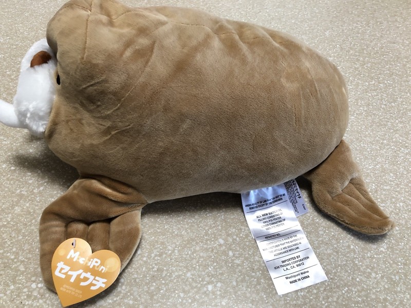 mochipuni walrus