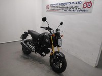 Honda MSX125 STAFFORD MOTORCYCLES LIMITED