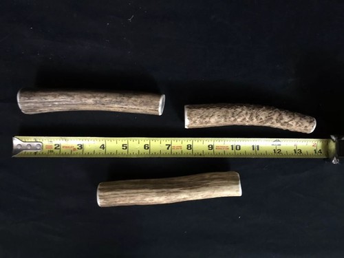 1-ELK ANTLER DOG CHEW ALL NATURAL FROM USA - LARGE SIZE