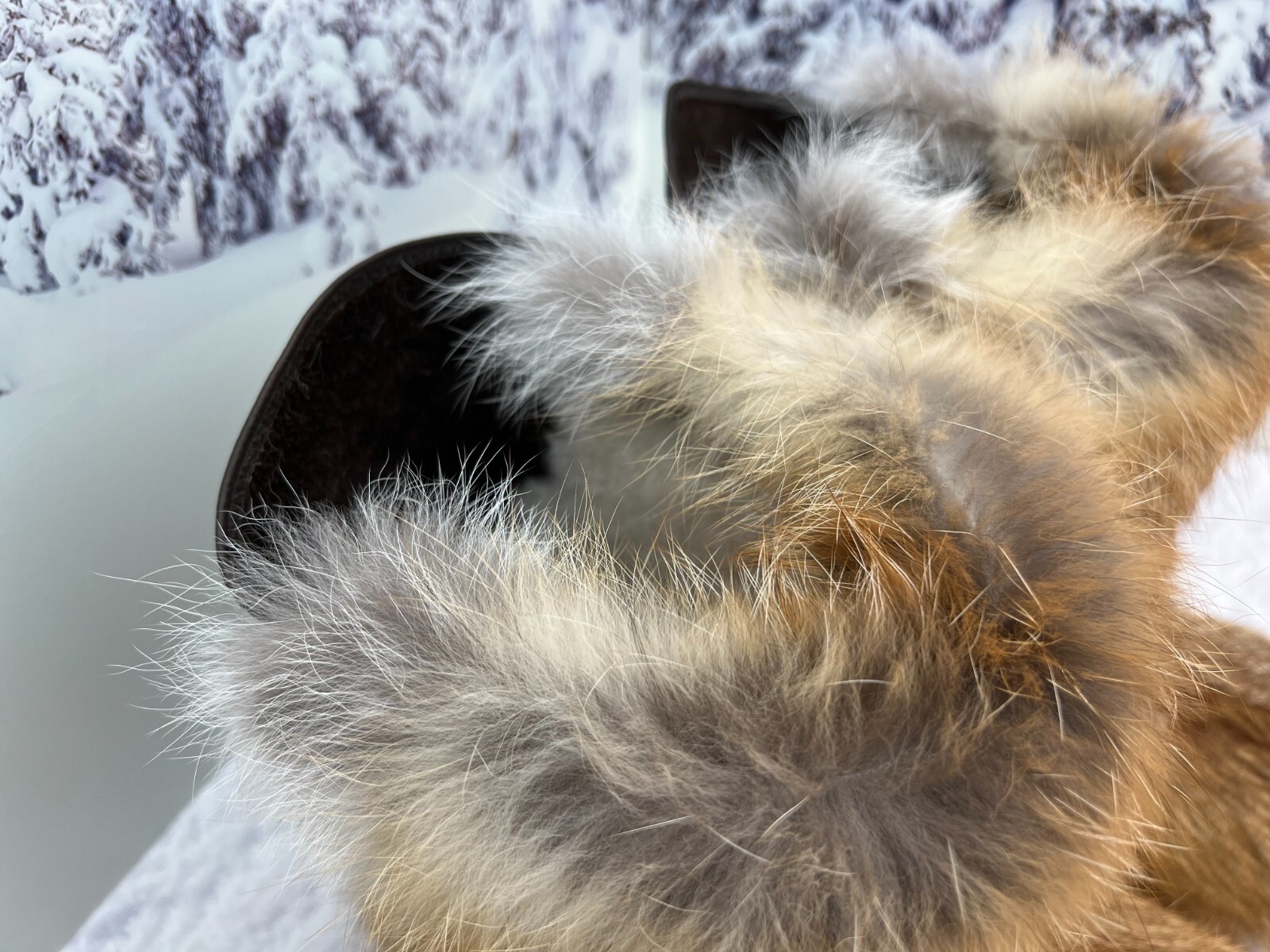Pre-owned Litvin Fox Fur Boots For Men, Viking Boots, Mukluks, Snow Winter Boots, Mens Gift In Red