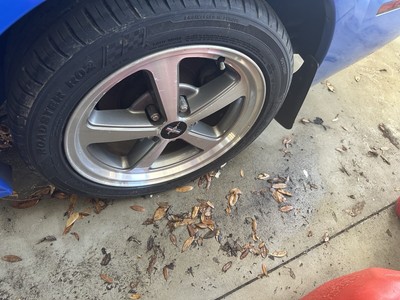 image 23 of exterior