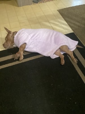 Foto dell'oggetto di un acquirente verificato